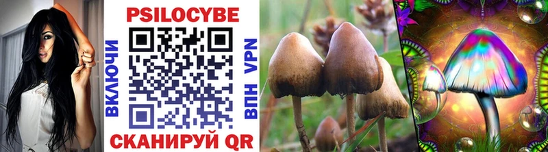 OMG ссылка  Ишимбай  Псилоцибиновые грибы Magic Shrooms 